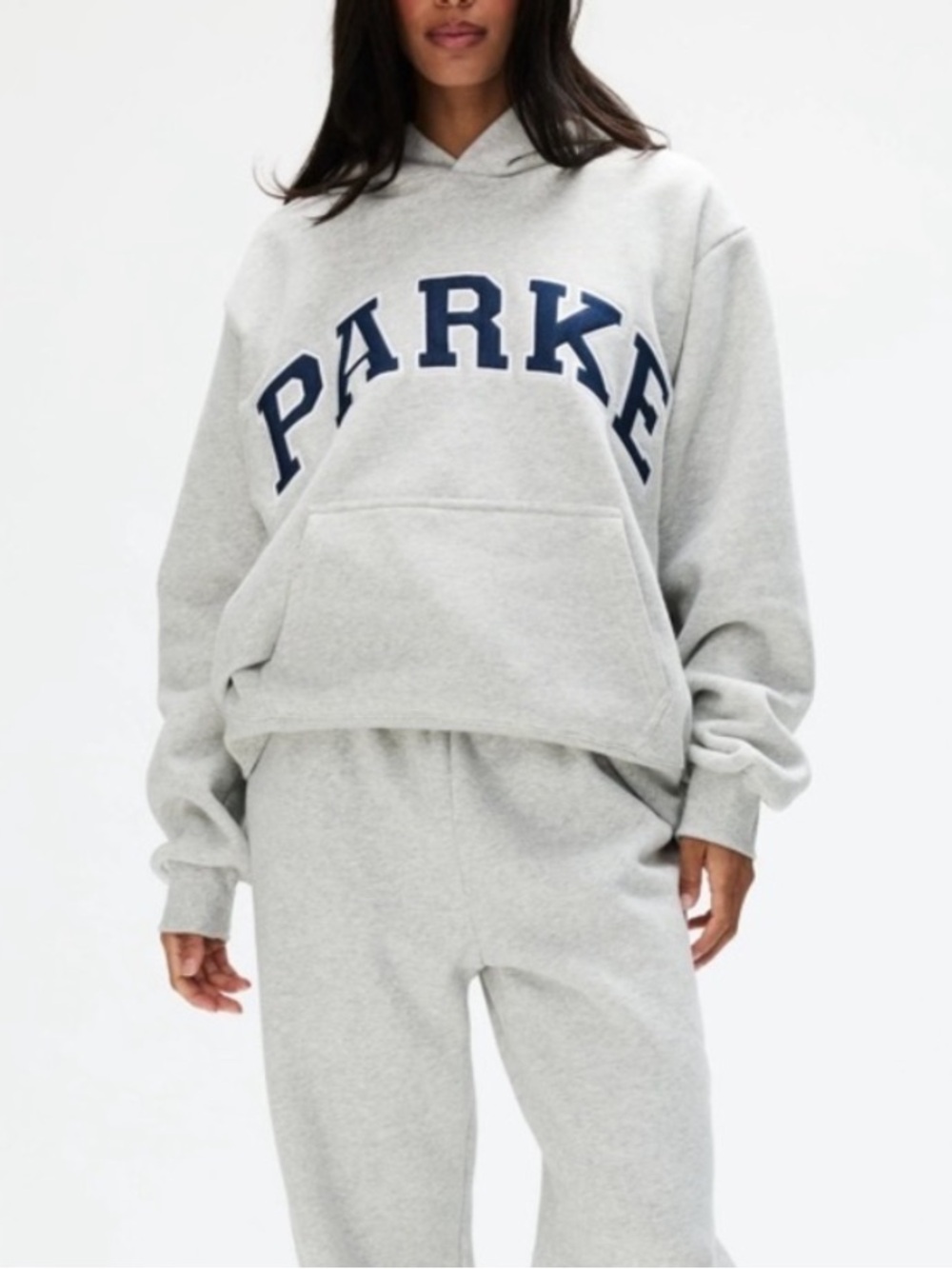 NWOT PARKE Varsity Hoodie